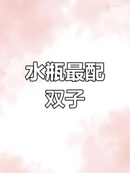 水瓶女喜欢双子女吗_双子女会爱上水瓶女吗