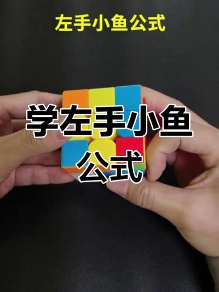 魔方双鱼公式怎么用_魔方双鱼公式口诀