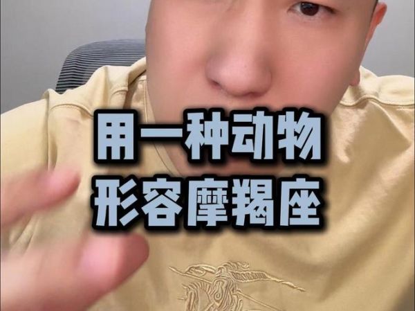 魔羯sc是什么_魔羯sc怎么用