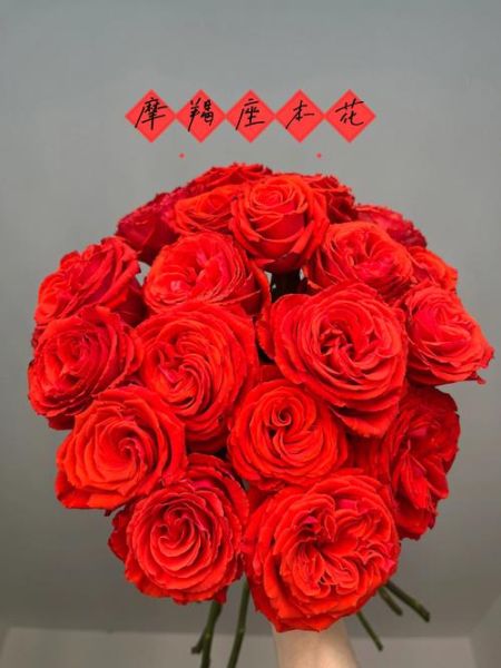 魔羯座花语是什么_魔羯座适合送什么花