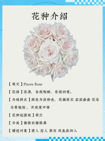 双鱼座守护花是什么花_双鱼座幸运花语