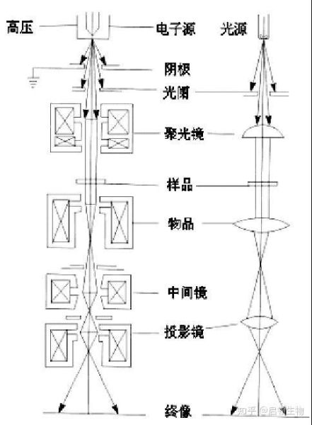 魔羯电镜多少钱一台_魔羯电镜使用教程