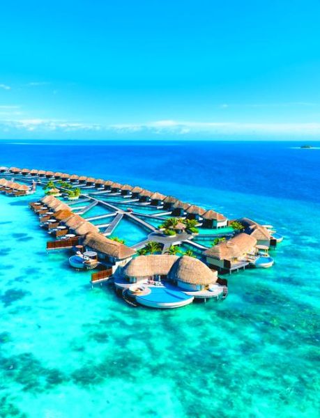 满月岛和双鱼岛哪个好_马尔代夫蜜月岛对比