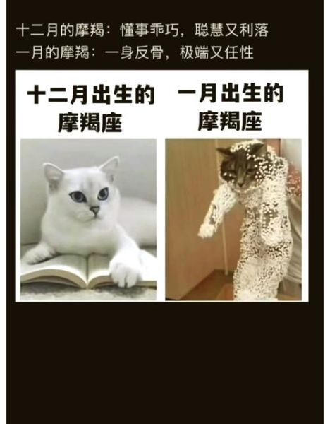 魔羯很文艺吗_魔羯座文艺气质解析