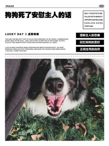 双子女说狗死了_如何安慰她