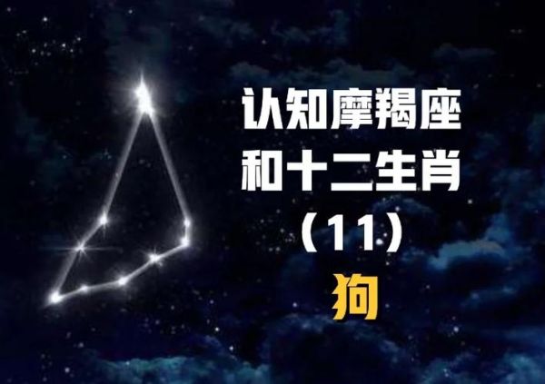 属狗魔羯座性格特点_属狗魔羯座运势2024