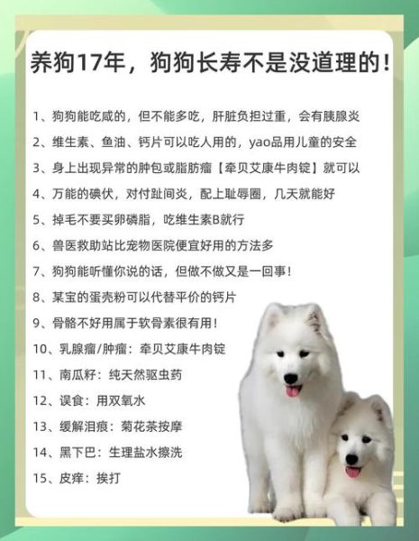 属狗双子女的健康_如何调理体质