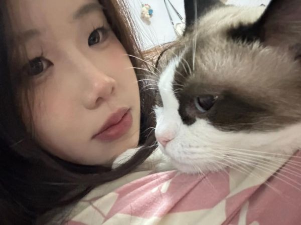 天蝎座猫猫性格特点_如何与天蝎座猫咪相处