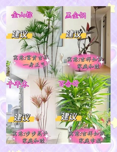 梧桐天蝎座适合养什么植物_如何布置卧室风水