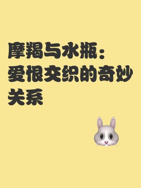 魔羯女和水瓶座合财吗_为什么财运不合