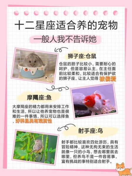 魔羯座适合养什么植物_魔羯座养什么宠物好
