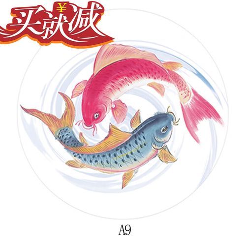 圆双鱼是什么_圆双鱼怎么养