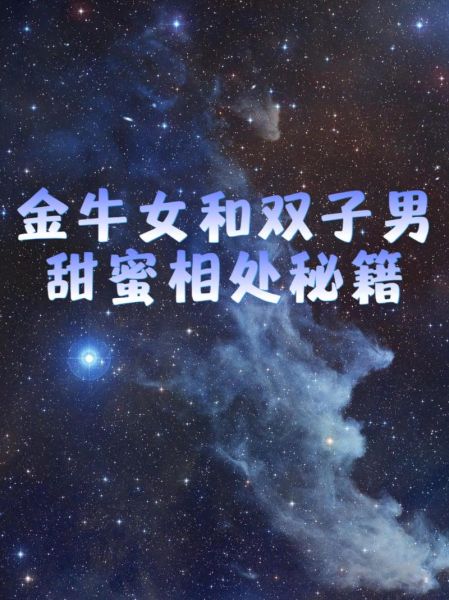 双子女与金牛男工作合得来吗_如何高效协作