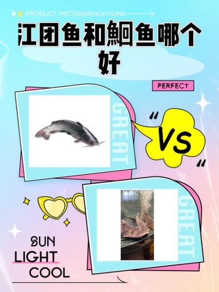 双鱼团是什么_如何加入双鱼团