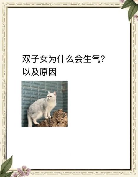 双子女突然不回消息_如何优雅应对