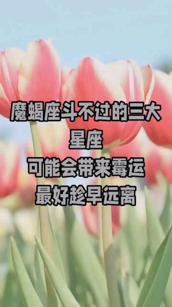 魔羯斗不过的星座有哪些_为什么斗不过