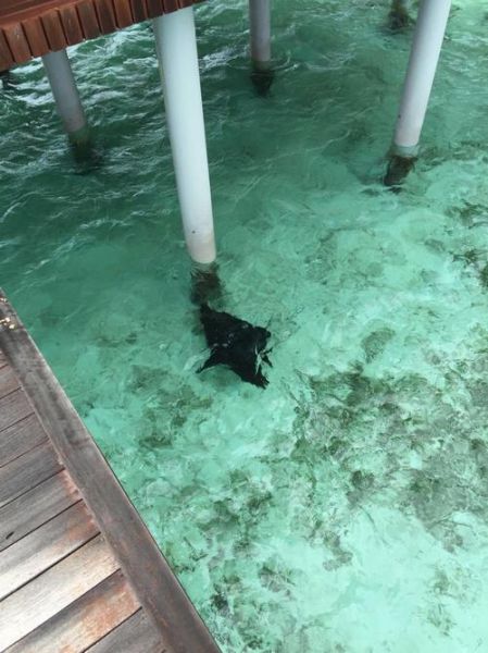 双鱼江在哪里_双鱼江旅游攻略