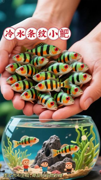 小双鱼是什么鱼_小双鱼怎么养