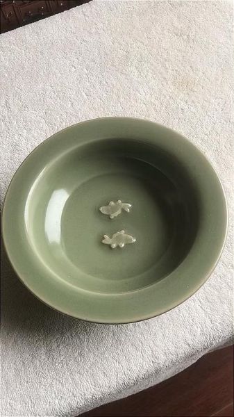 双鱼表面_怎么清洗