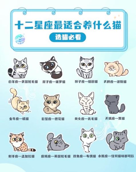 魔羯座适合养什么猫_性格匹配度排行