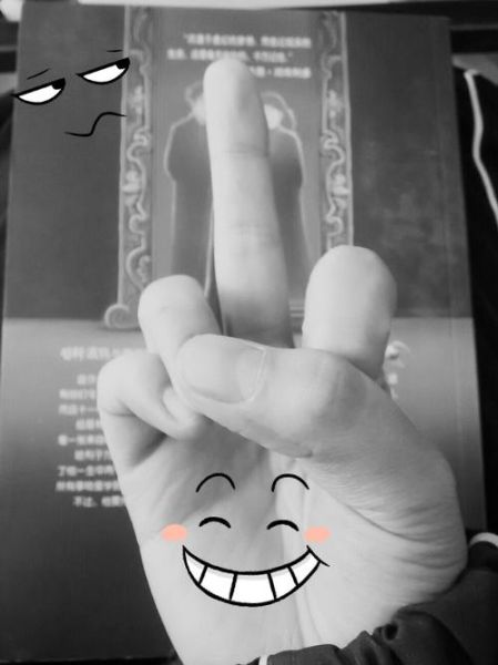 双子女鄙视手势什么意思_如何优雅反击