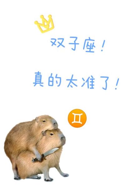 单身的双子女如何脱单_双子女单身久了会怎样