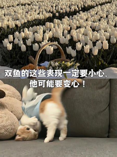 双鱼女出轨的表现_如何辨别双鱼女是否变心