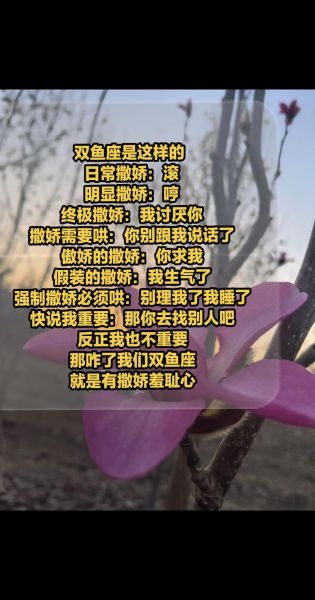 双鱼歌词表达了什么情感_双鱼歌词背后的故事